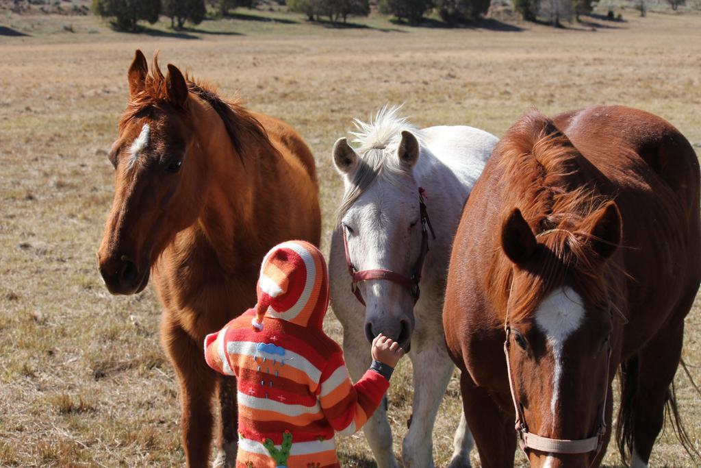 Sevier River Ranch & Cattle Company Hatch Esterno foto